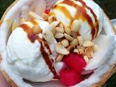 nonfranchise ice cream shop