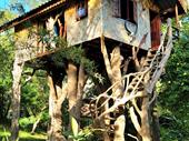 treehouse hotel koh yao