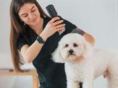 mobile grooming flexible lifestyle