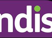 ndis start-up business for