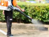 profitable pest control franchise
