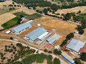 turkey ranch livestock farm