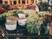 wholesale flower distribution business