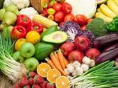 fruit veg icon of
