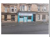 glasgow's premier dog grooming