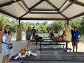 turnkey dog training franchise