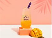 chatime kotara 99k quick