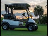 successful golf cart dealership