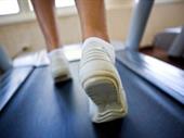 gym no franchise fees