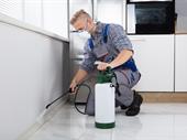 50 year pest control