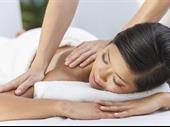 massage therapy business el