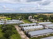 sustainable profitable intensive pig