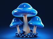 business for sale organicmushroomsupplies