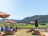 pyengana dairy cheese company