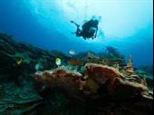 professional scuba retailer for
