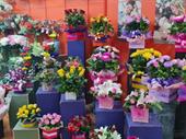 gladstone park florist for