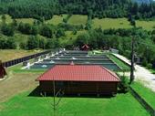 trout aquaculture with commercial