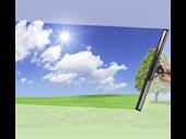 window cleaning business that