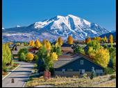 real estate wholesaling business