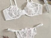 successful e-commerce lingerie accessories