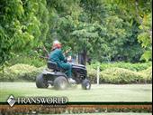 turnkey established commercial lawn