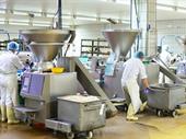 established food mfg wholesaler