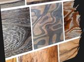 wood export business costa