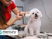 long-established dog grooming biz
