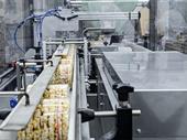food manufacturing distribution business