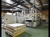 unique profitable balsawood global
