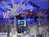 established corporate event decoration