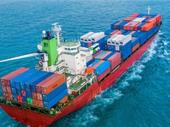 niche global supplier of