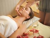 lucrative massage skincare franchise