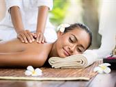 highly successful day spa