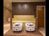 established luxury day spa