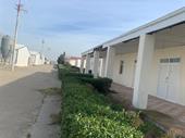 breeder poultry farm with