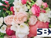 retail florist gifts florist