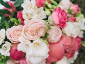 retail florist gifts florist