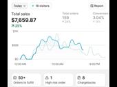 rare opportunity hands-off e-commerce