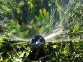 profitale spinker irrigation business