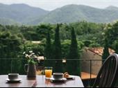 tranquil restaurant bar