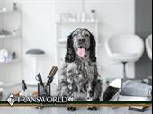 pamper pups profits grooming