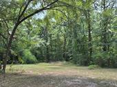 secluded 4 acre estate