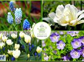 certified organic garden supplies
