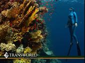 established marine rental business