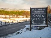 jaggy thistle food stop