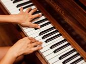 established profitable piano business