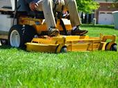 lawn care business