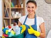 thriving cleaning franchise staffed