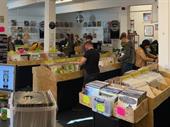 large record shop rochester